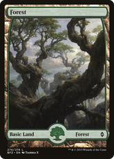 Floresta / Forest - Magic: The Gathering - MoxLand